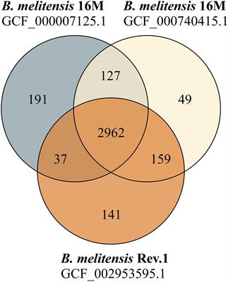 Protein Biomarker Identification for the Discrimination of Brucella melitensis Field Isolates From the Brucella melitensis Rev.1 Vaccine Strain by MALDI-TOF MS